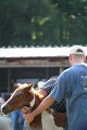 ponypenning_072811_0487
