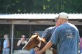 ponypenning_072811_0488