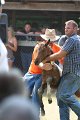 ponypenning_072811_0492