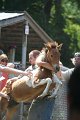 ponypenning_072811_0504