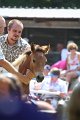 ponypenning_072811_0506