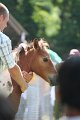 ponypenning_072811_0508