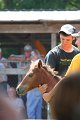ponypenning_072811_0509