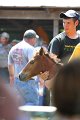 ponypenning_072811_0510