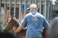 ponypenning_072811_0512