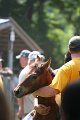 ponypenning_072811_0527