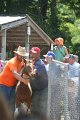 ponypenning_072811_0545