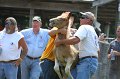 ponypenning_072811_0558