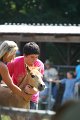 ponypenning_072811_0567