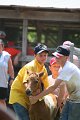 ponypenning_072811_0572