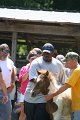 ponypenning_072811_0575