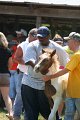 ponypenning_072811_0576