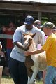 ponypenning_072811_0577