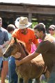 ponypenning_072811_0582