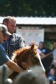 ponypenning_072811_0584