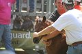 ponypenning_072811_0590