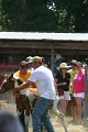 ponypenning_072811_0600
