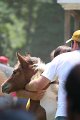 ponypenning_072811_0601