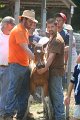 ponypenning_072811_0607