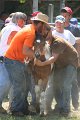 ponypenning_072811_0609