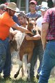 ponypenning_072811_0610