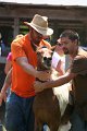 ponypenning_072811_0611