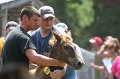 ponypenning_072811_0622
