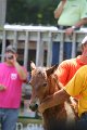 ponypenning_072811_0628