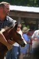 ponypenning_072811_0647