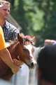 ponypenning_072811_0648