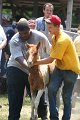 ponypenning_072811_0658