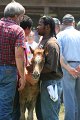 ponypenning_072811_0660