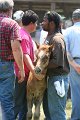 ponypenning_072811_0661
