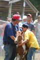 ponypenning_072811_0664