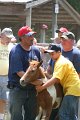 ponypenning_072811_0666