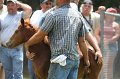 ponypenning_072811_0667