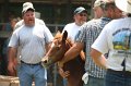 ponypenning_072811_0668