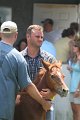 ponypenning_072811_0672