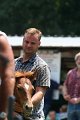 ponypenning_072811_0676