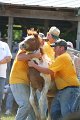 ponypenning_072811_0682