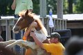 ponypenning_072811_0685