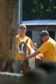 ponypenning_072811_0689