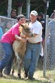 ponypenning_072811_0704