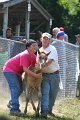 ponypenning_072811_0705