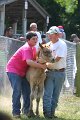 ponypenning_072811_0706
