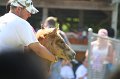 ponypenning_072811_0712