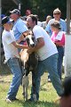ponypenning_072811_0718