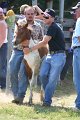 ponypenning_072811_0724
