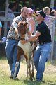 ponypenning_072811_0726