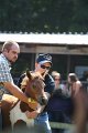 ponypenning_072811_0729